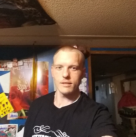 Meet your Posher, Ricky - Picture 1 of 1